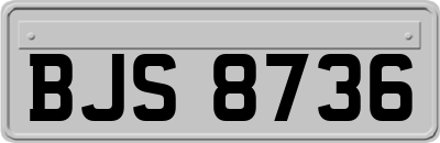 BJS8736