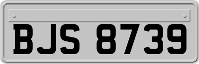 BJS8739