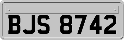 BJS8742