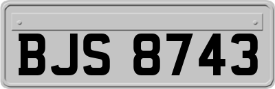 BJS8743