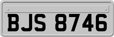 BJS8746
