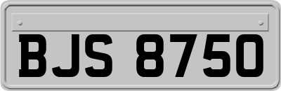 BJS8750