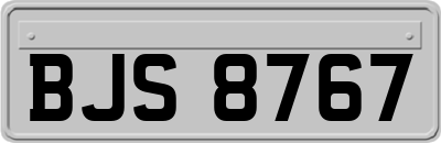 BJS8767