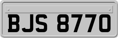 BJS8770