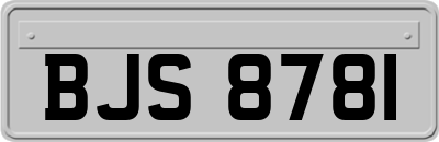 BJS8781