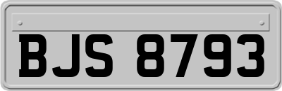 BJS8793