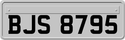 BJS8795