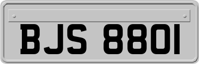 BJS8801