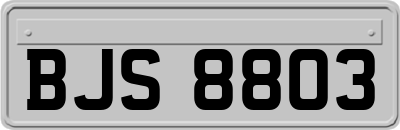 BJS8803