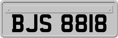 BJS8818