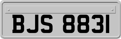 BJS8831