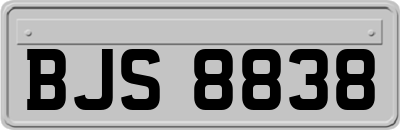 BJS8838