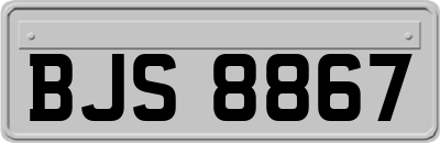 BJS8867