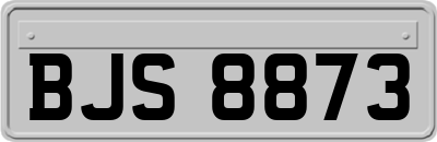 BJS8873