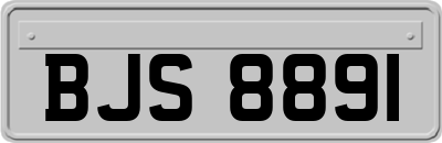BJS8891