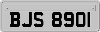 BJS8901