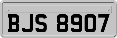 BJS8907