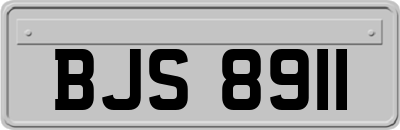 BJS8911