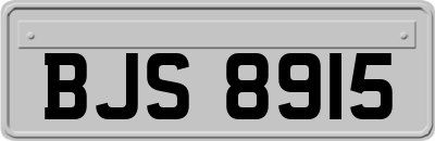 BJS8915