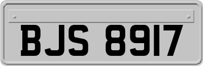BJS8917