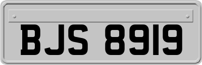 BJS8919