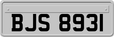 BJS8931