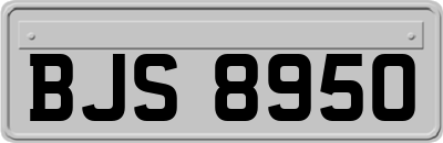 BJS8950