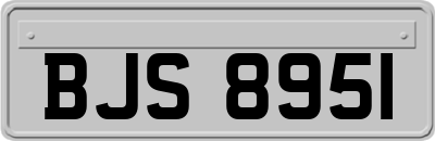 BJS8951