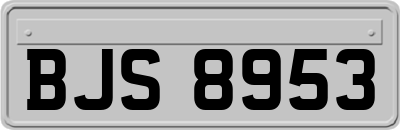 BJS8953
