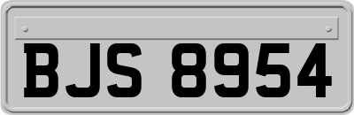 BJS8954
