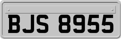 BJS8955