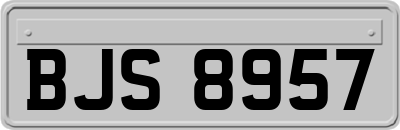 BJS8957