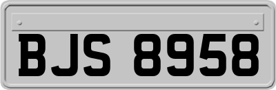 BJS8958