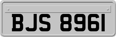 BJS8961