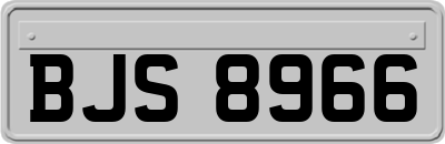 BJS8966