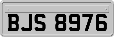 BJS8976