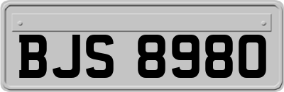 BJS8980