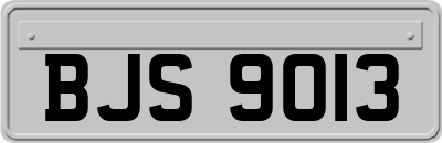 BJS9013