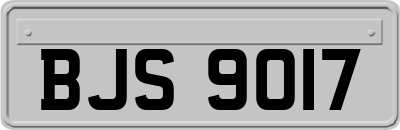 BJS9017