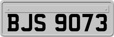 BJS9073