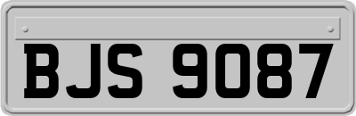 BJS9087