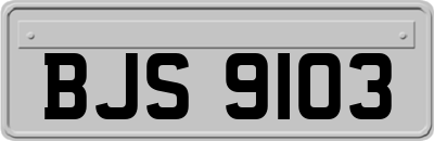 BJS9103