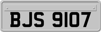 BJS9107