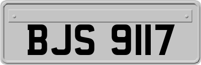 BJS9117