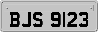 BJS9123