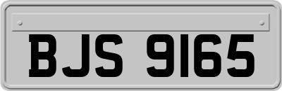 BJS9165