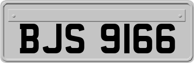 BJS9166