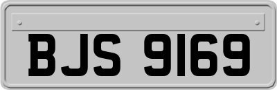 BJS9169
