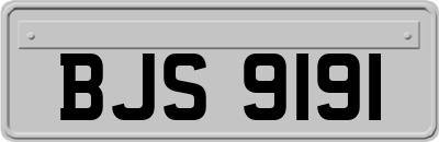 BJS9191