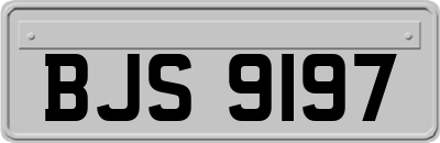 BJS9197